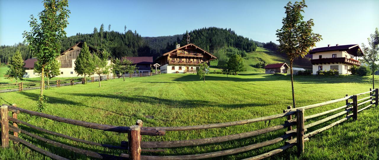 Steinbachgut Flachau Exterior foto